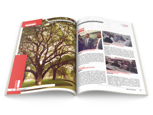 Trinidad and Tobago Chamber of Industry and Commerce - Annual Report 2014